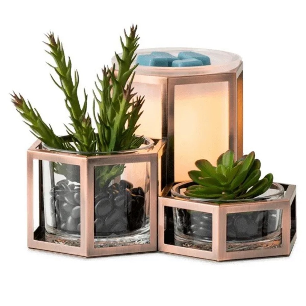 Scentsy Wild Desert Wax warmer New